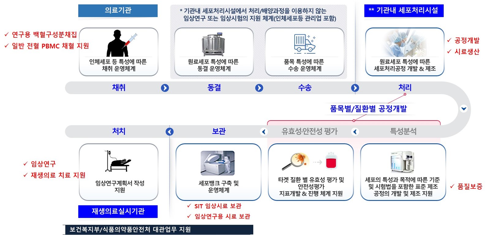 Advanced Cell & Gene Therapy Center one-stop support flowchart - collection (leukapheresis for research, whole blood PBMC collection) to freezing, transport, processing (process development and sample production), characterization, efficacy and safety evaluation, storage (cell bank establishment, SIT clinical sample storage), and treatment (clinical research and regenerative medicine treatment support). Includes process development and quality assurance by product and disease, and regulatory liaison support with the Ministry of Health and Welfare and the Ministry of Food and Drug Safety.